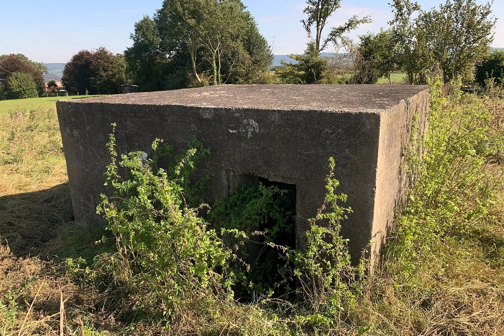 Bunker O - Position Avance Hombourg #5