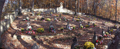 Austrian War Cemetery No.371 - Droginia