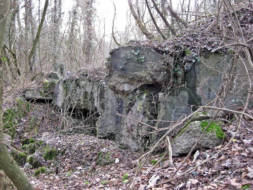 Westwall - Restanten Duitse Bunkers
