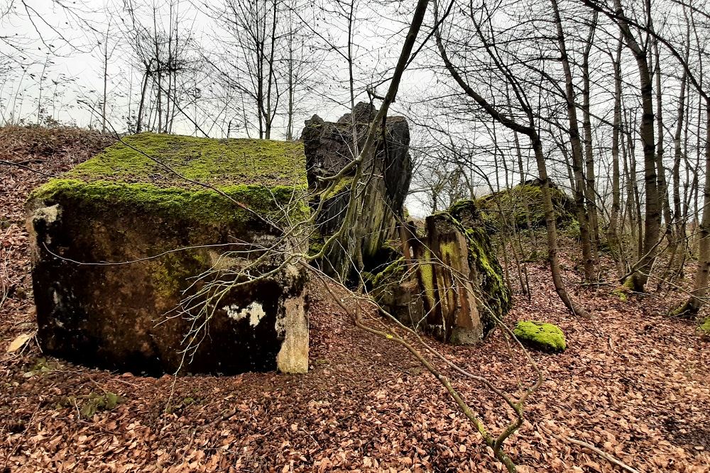 Bunker no. 18 Vogelsang
