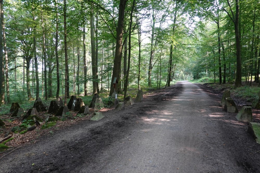 Westwall - Tank Barrier Preuswald #2