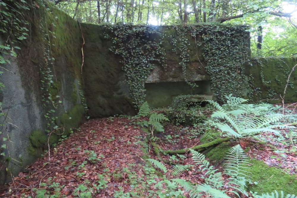 Maginot Line - Eichwald Gun Emplacement N