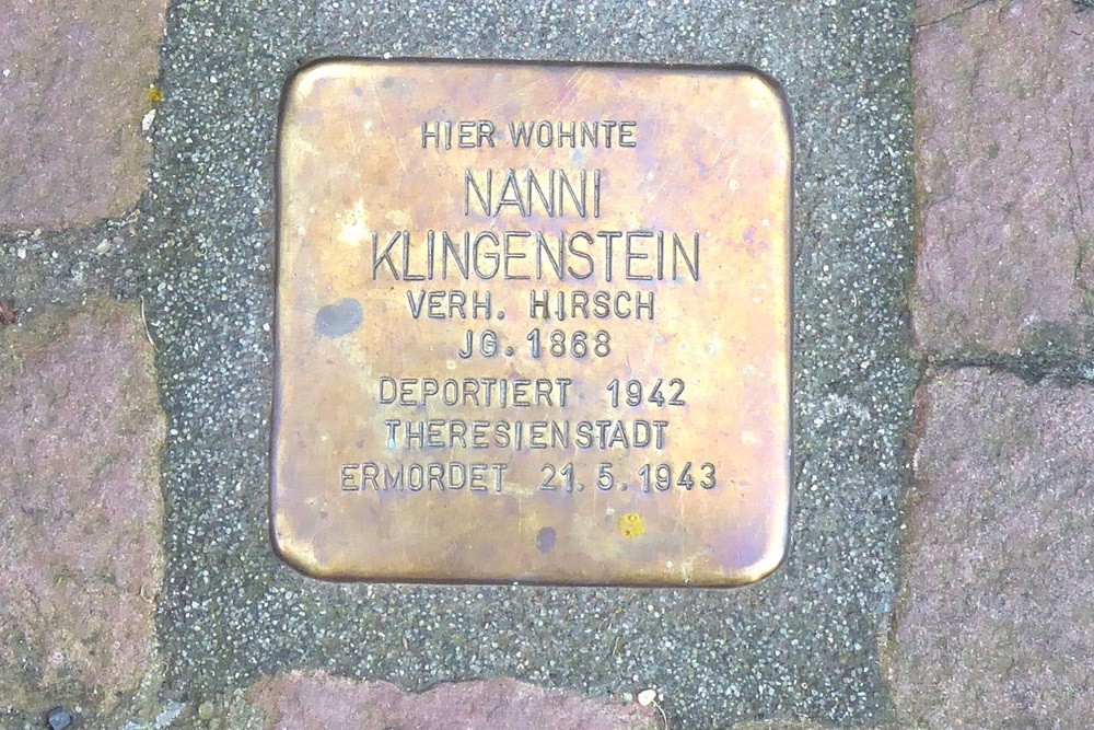 Stumbling Stones Hauptstrasse 213 #5