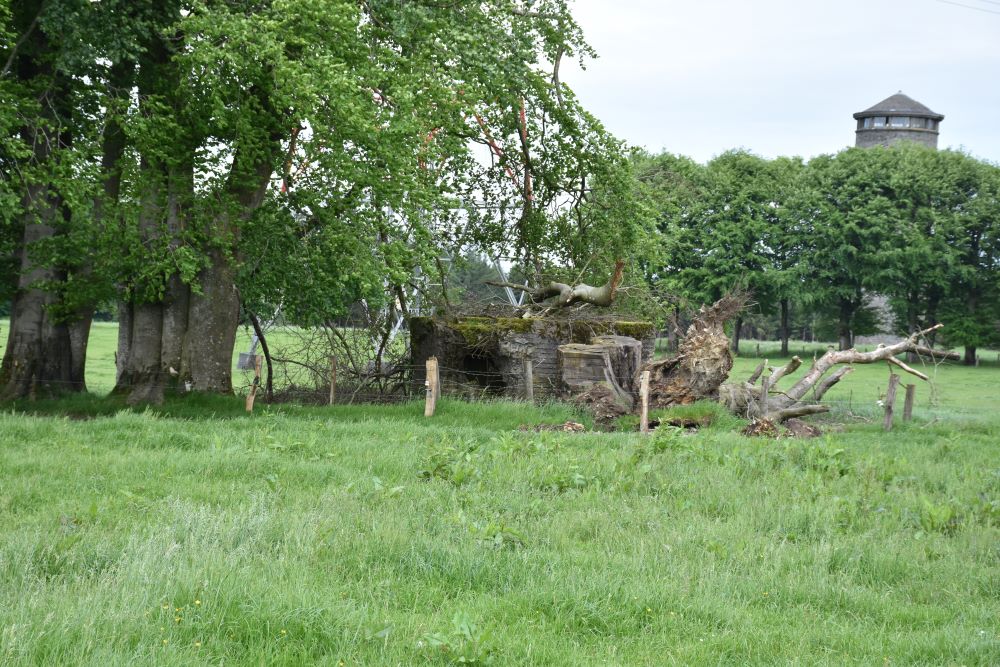 Concrete Defense Structures Devze Line Villeroux #1