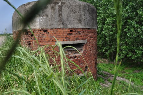 Chinese Dike Casemate B-4 Wuhan #2