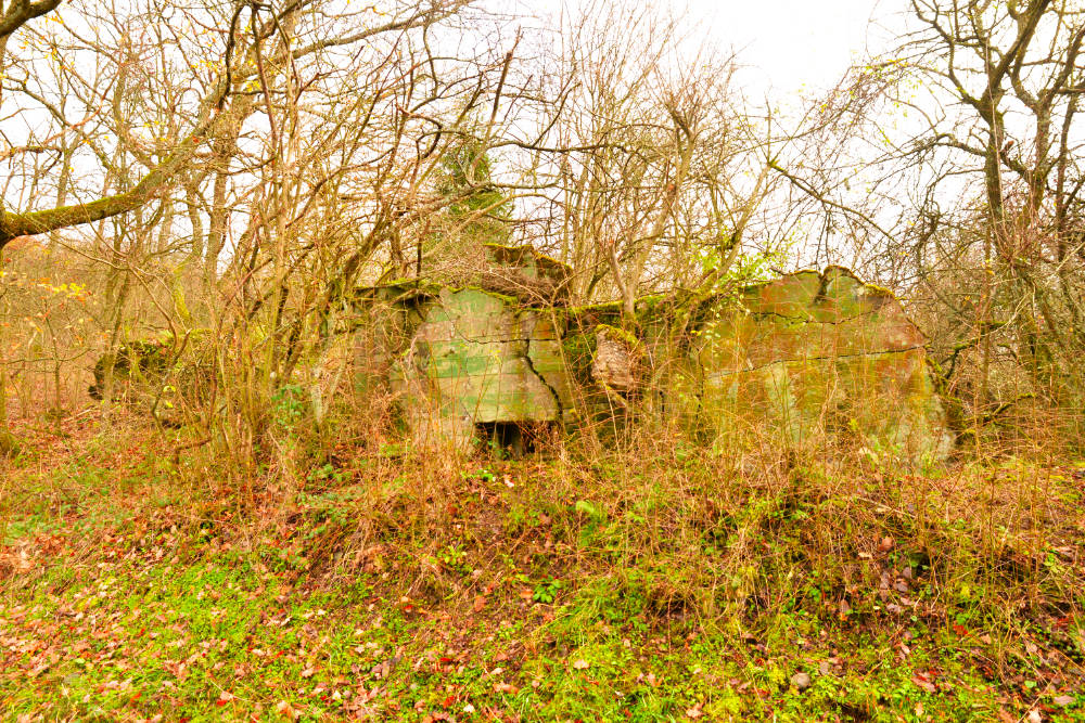 Westwall Bunker Nierfeld
