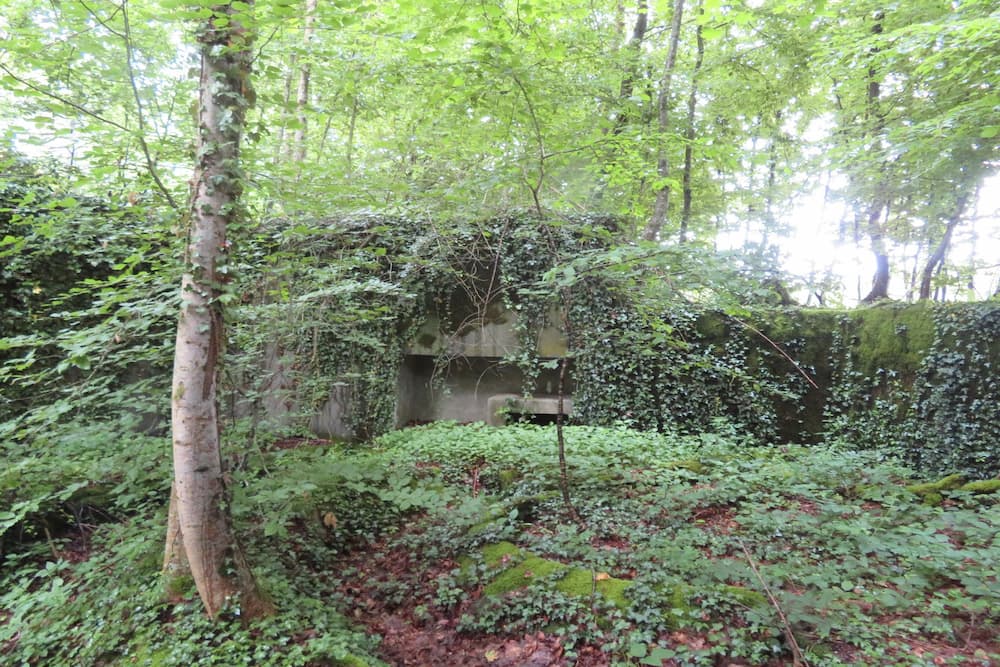 Maginot Line Eichwald Gun Emplacement #4