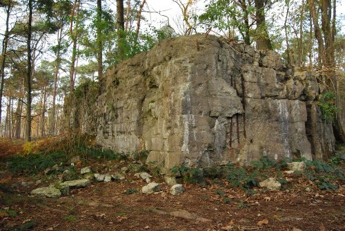 Duitse Bunker Polygoonbos #3