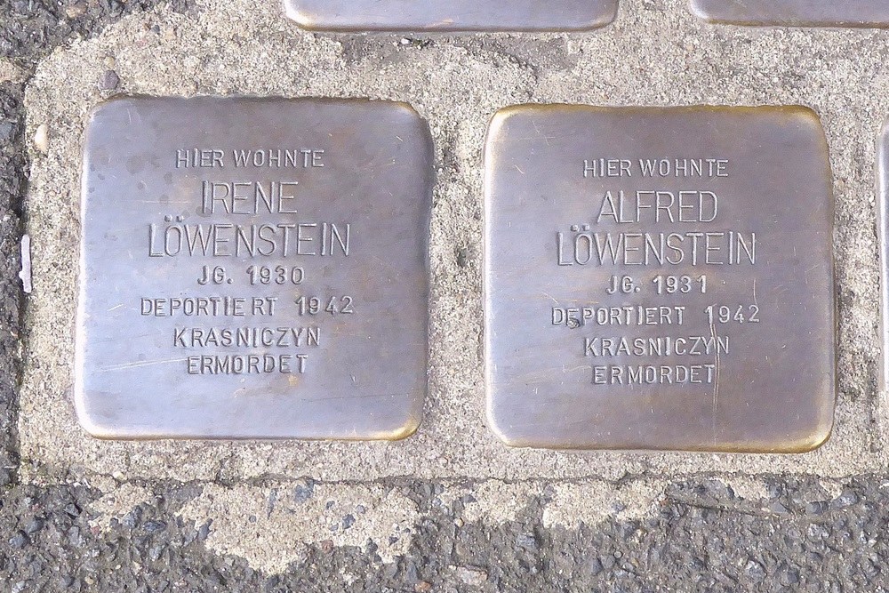 Stolpersteine Erthalstrasse 11 #5