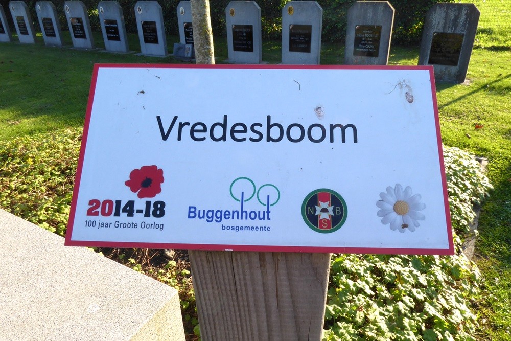 Vredesboom Buggenhout Opstal #2