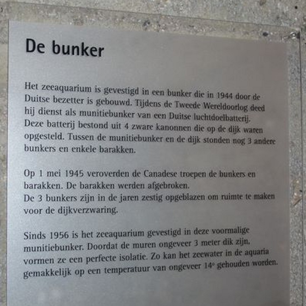 Duitse Bunker Zee Aquarium #5