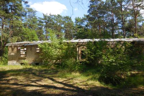 Remains Former House Heinz Guderian #2