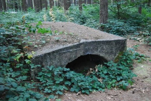 Australian Bunker Polygon Wood