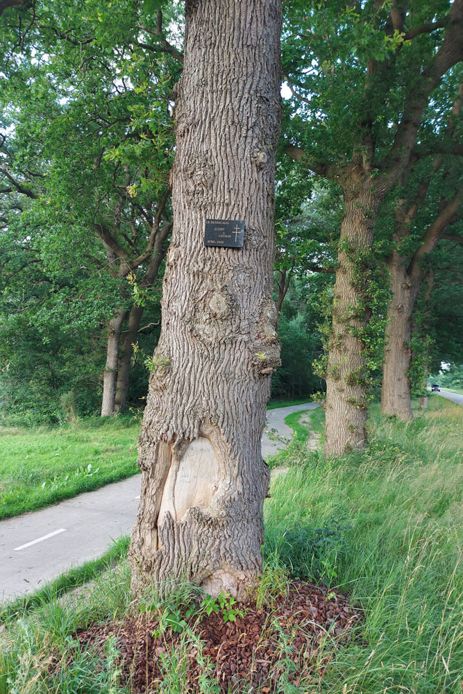 Gedenkteken Franse SAS Parachutisten #3