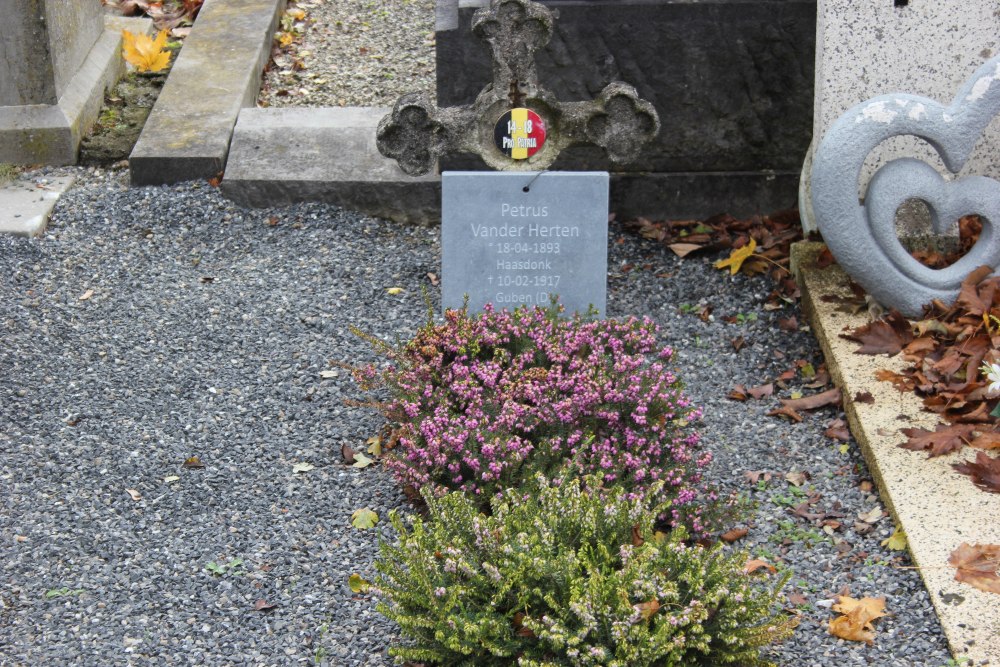 Belgian War Graves Haasdonk