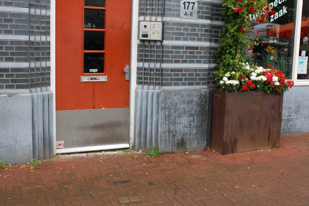 Stolpersteine Waterlooplein 177 #4