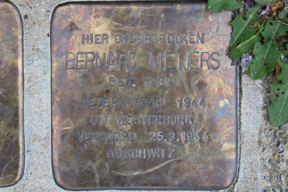 Stolpersteine Proosdijstraat 15 #3