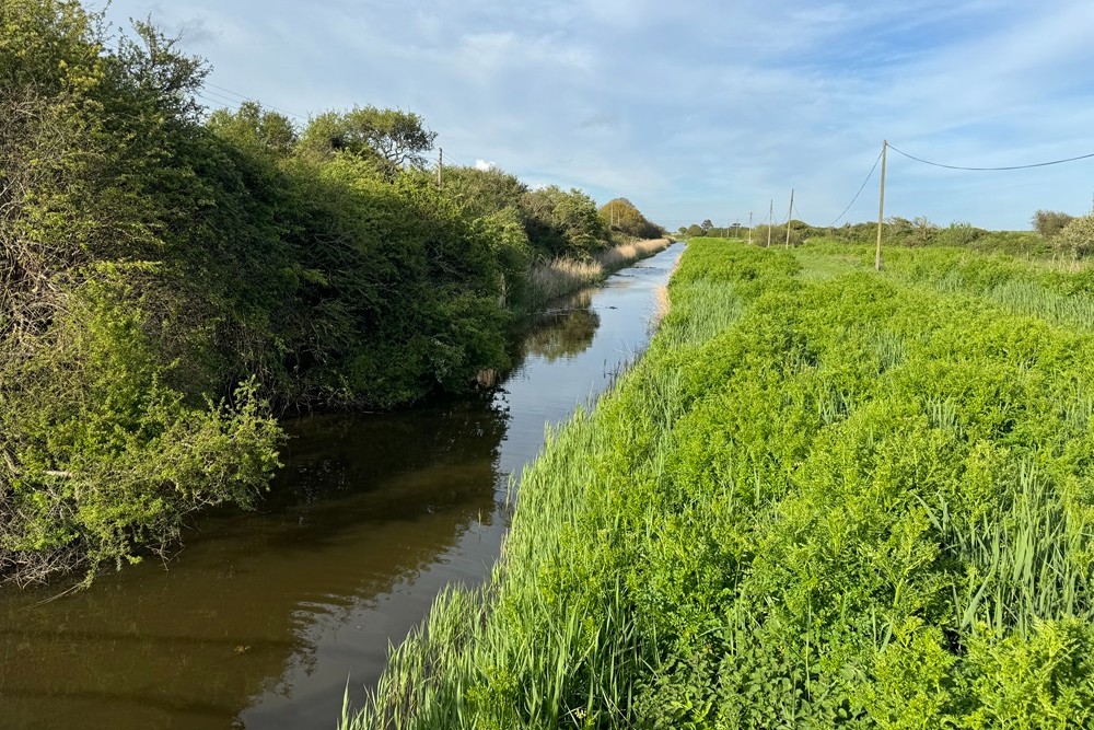 Royal Military Canal #2