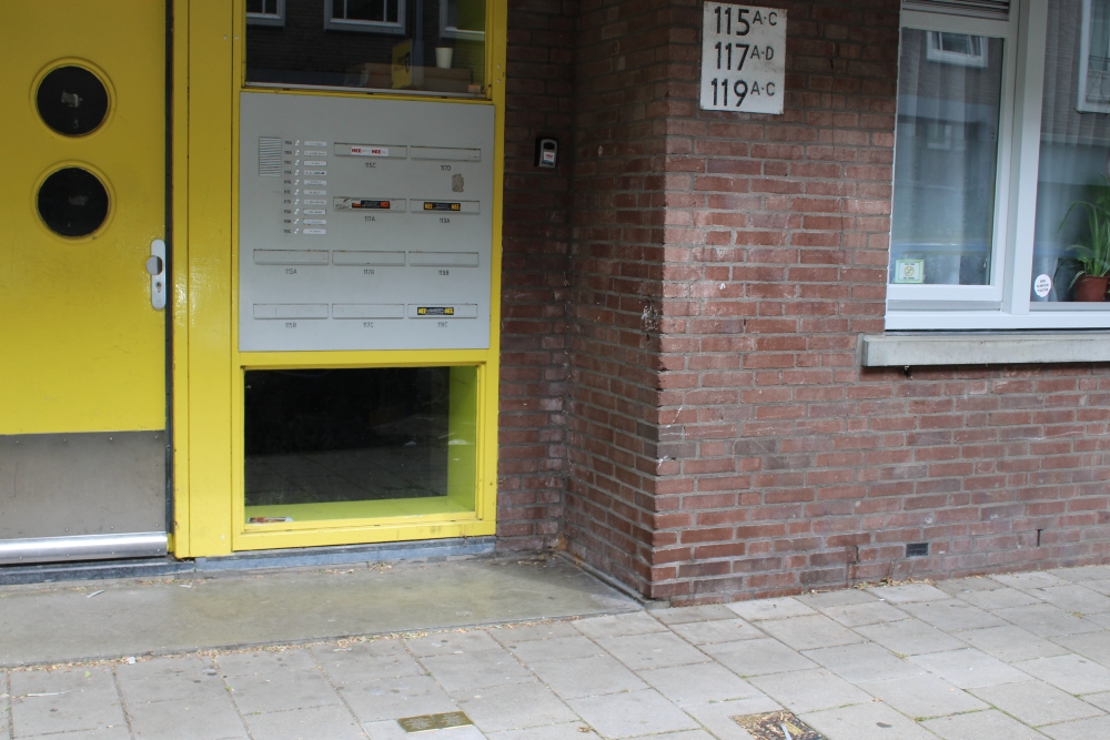 Stolpersteine Blasiusstraat 115 #4