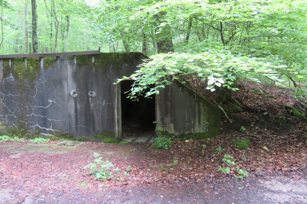 Maginot Line Battery Breitenhag Open Bedding W #3