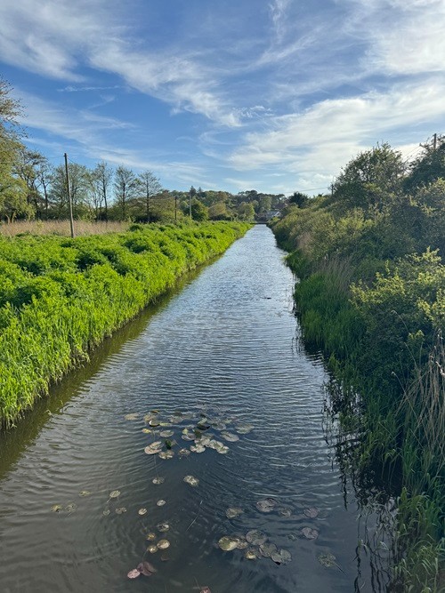 Royal Military Canal #3