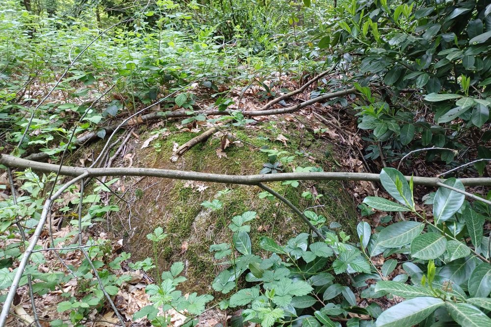 Remains German Structures Fathers Mill Hill #2