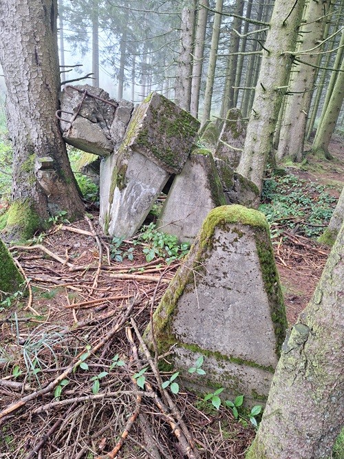 Westwall - Tank Barrier Hollerath #5