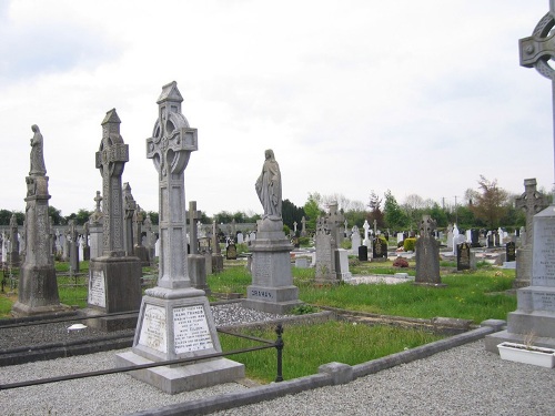 Oorlogsgraven van het Gemenebest Navan New Cemetery