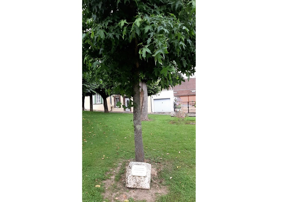 Memorial Tree Courville-sur-Eure