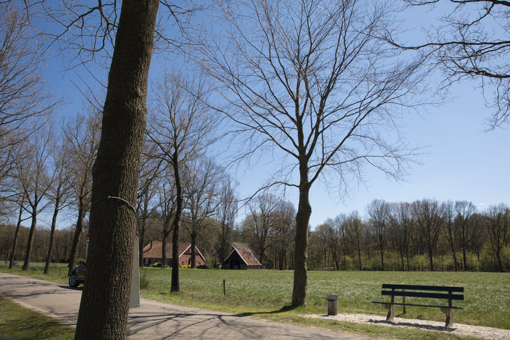 Commemorative Tree Korenburgerveen