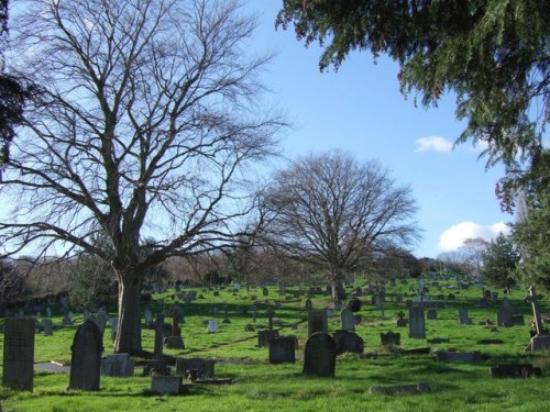 Oorlogsgraven van het Gemenebest Exwick Cemetery