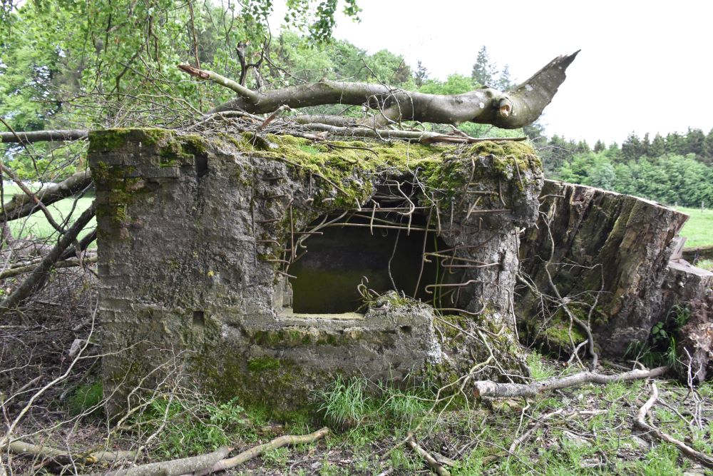 Concrete Defense Structures Devze Line Villeroux #2