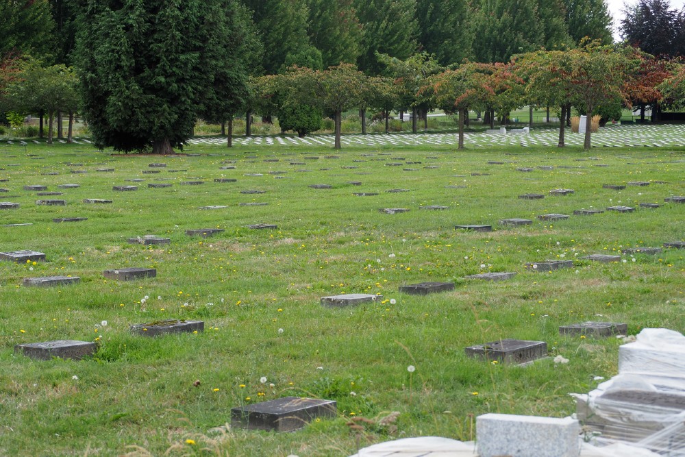 Field Of Honour Mountain View Cemetery #3