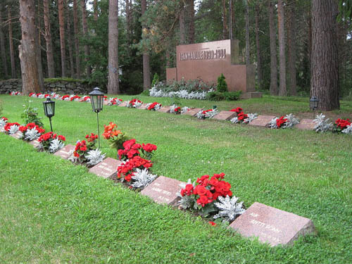 Finse Oorlogsgraven Siikajoki