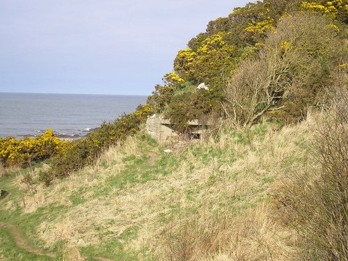 Bunker Boarhills