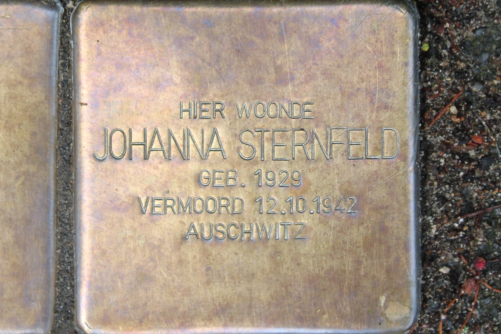 Stolpersteine Bethaniestraat 19 #3