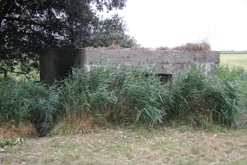 Bunker FW3/22 Holkham