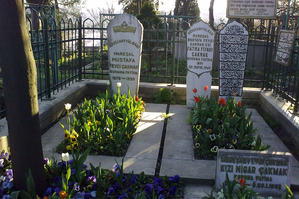 Graves Turkish War Veterans