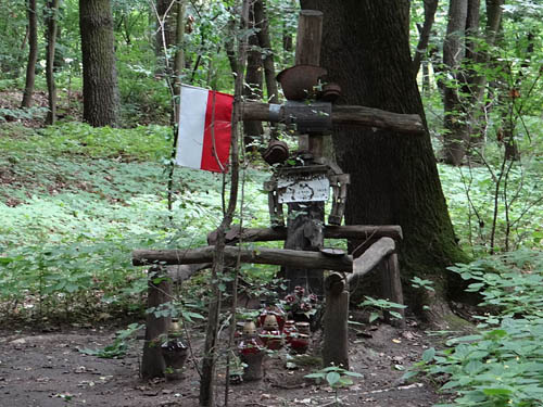 Veldgraven Poolse Soldaten Park Mlocinski