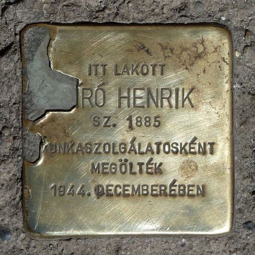 Stolpersteine Frankel Le utca 21-23 #4