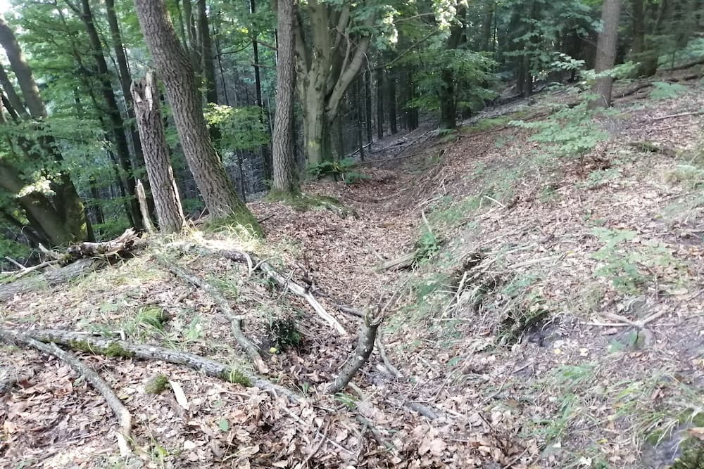 Remains Trench System Farrenberg