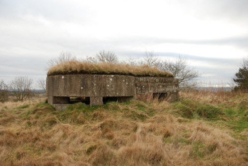 Bunker Harlow Hill
