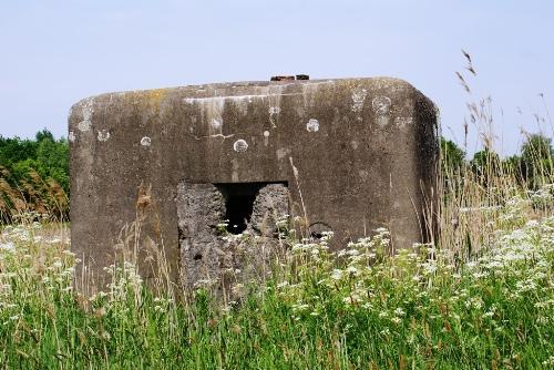 KW-Line - Bunker VB29