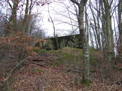 Westwall - Restant Bunker Irrel