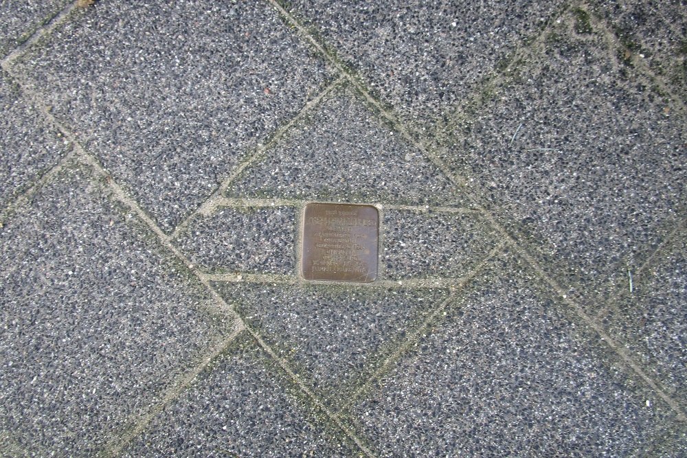 Stumbling Stone Van Lansbergestraat 100