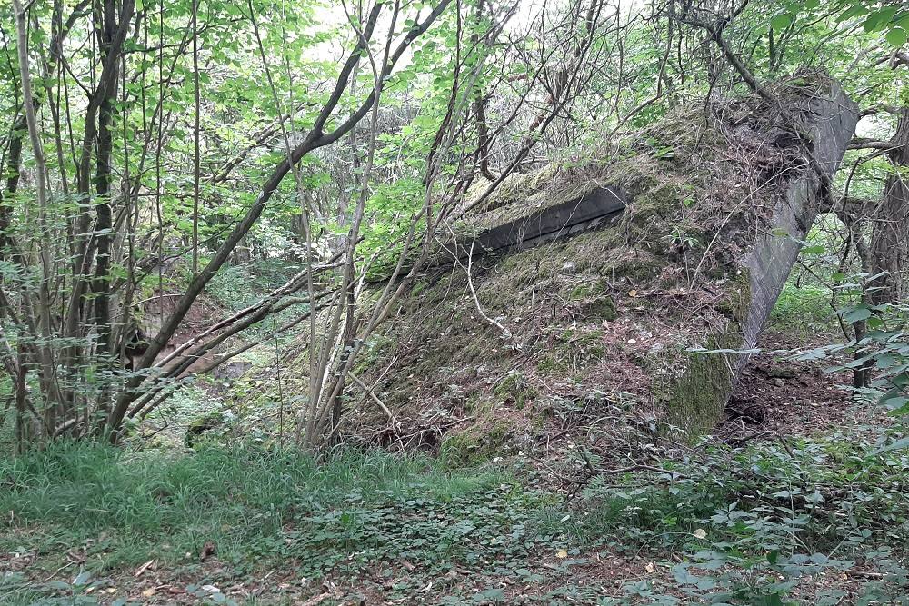 Flakstellung Zingsheim Bunker 2