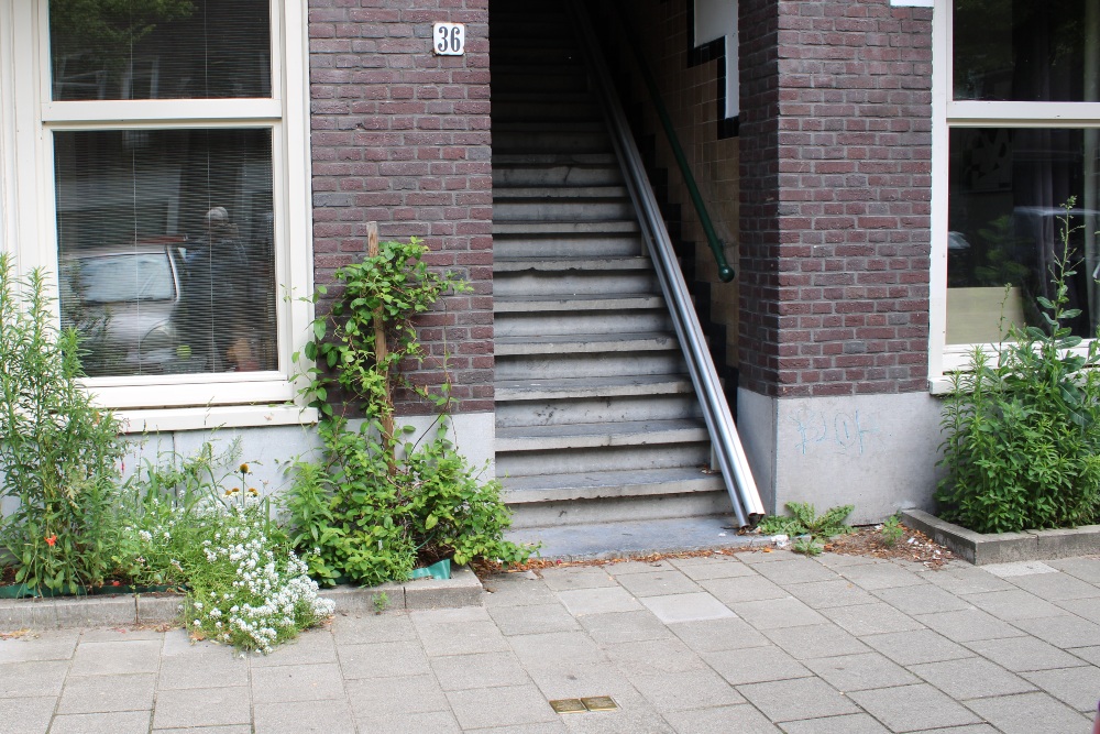 Stumbling Stones Trompenburgstraat 36 #4