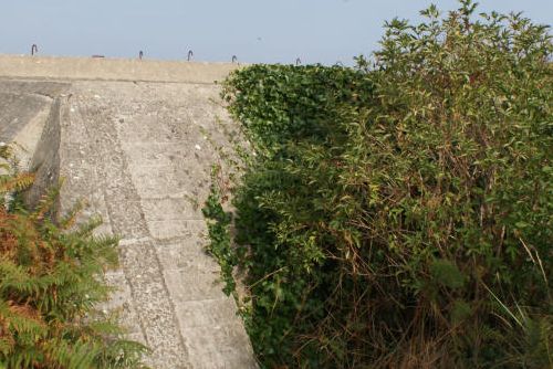 Duitse Bunker 2 Saint-Jacut-de-la-Mer #2