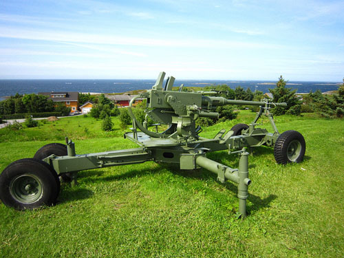 40 mm Bofors Anti-Aircraft Gun Bud