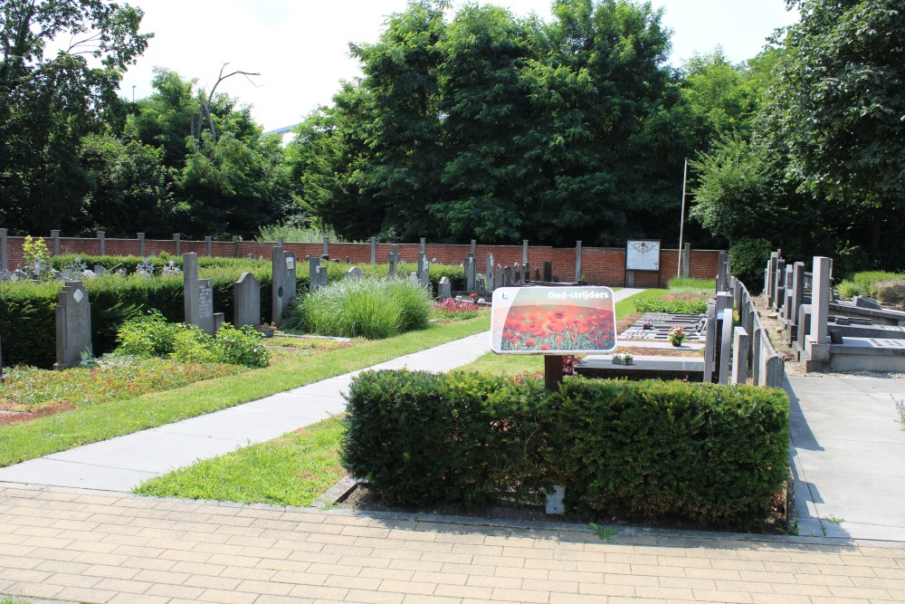Belgian Graves Veterans Beringen